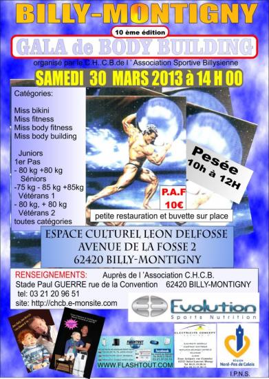 affiche-spectacle-gala-de-billy-montigny-2013-copie-1.jpg