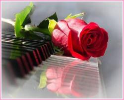 Piano et rose